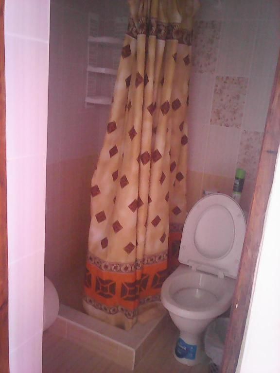 Гостевой дом Розовый домик Саки-54